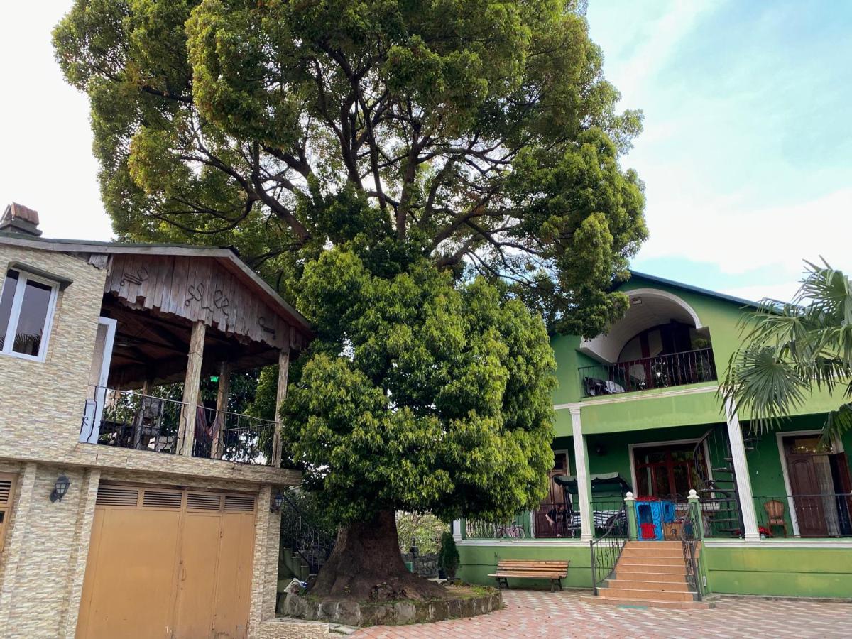 Apartment Green House Makhinjauri Exterior foto